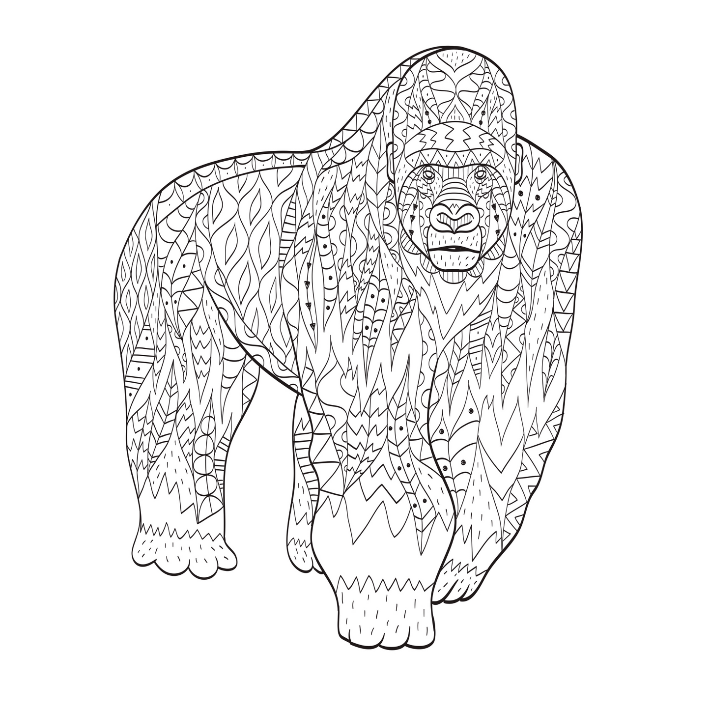 Safari Coloring Book for Adults