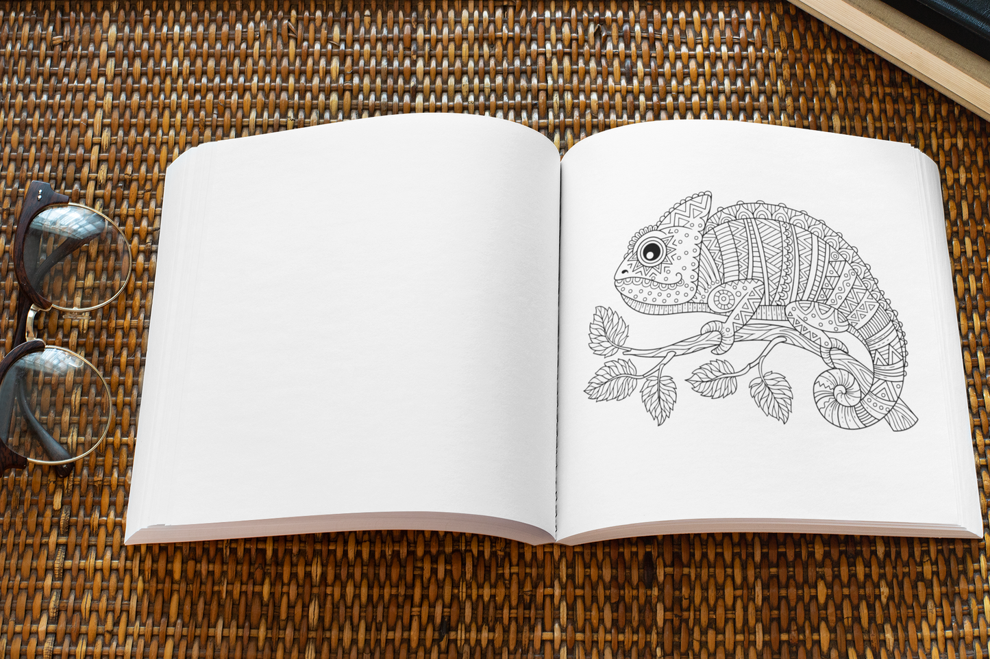 Safari Coloring Book for Adults